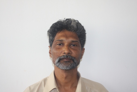 Expert Profile